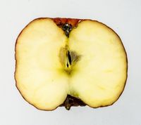 Kina 2 æble 02-06-2020